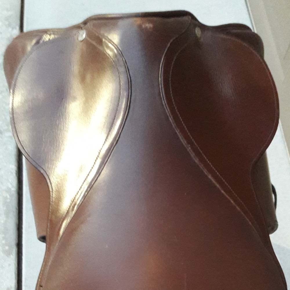 Saddle - Picture 5 of 6
